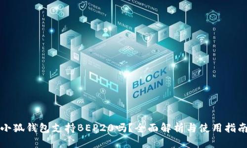 小狐钱包支持BEP20吗？全面解析与使用指南