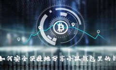 如何安全便捷地分享小狐