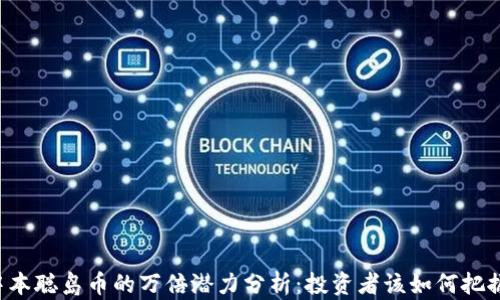 
中本聪岛币的万倍潜力分析：投资者该如何把握？