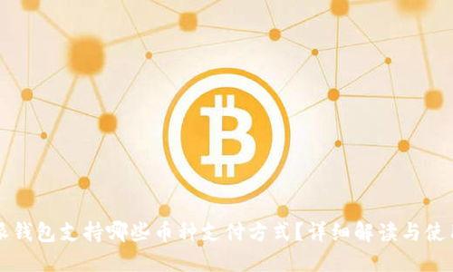 比特派钱包支持哪些币种支付方式？详细解读与使用指南