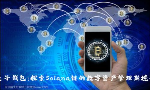 麦子钱包：探索Solana链的数字资产管理新境界