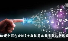 :比特币放哪个钱包合适？