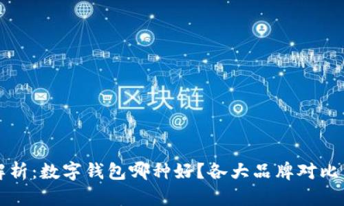 全面解析：数字钱包哪种好？各大品牌对比与推荐
