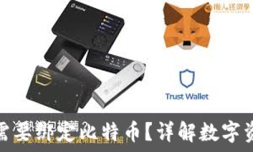   
冷钱包是否需要绑定比特币？详解数字资产安全之道