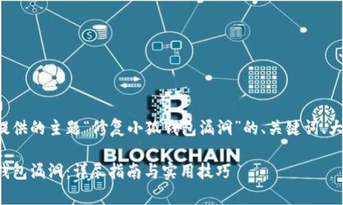 以下是根据您提供的主题“修复小狐钱包漏洞”的、关键词、大纲及详细内容。

如何修复小狐钱包漏洞：详尽指南与实用技巧
