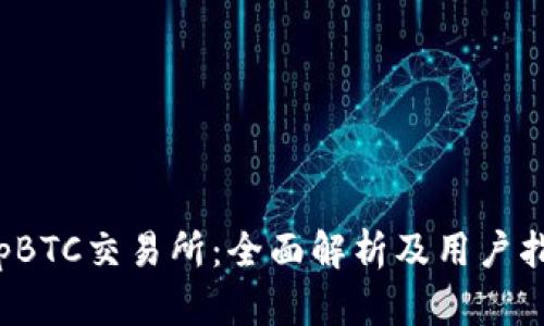 TopBTC交易所：全面解析及用户指南
