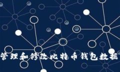 如何有效管理和修改比特