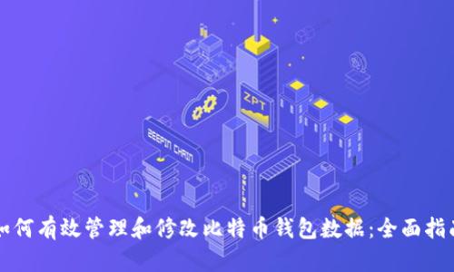 如何有效管理和修改比特币钱包数据：全面指南