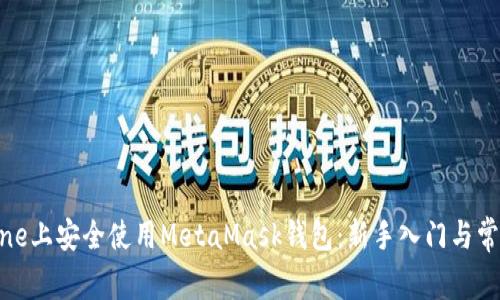 如何在iPhone上安全使用MetaMask钱包：新手入门与常见问题解答
