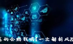  虚拟币爆仓真的会赔钱吗