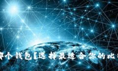 比特币放进哪个钱包？选