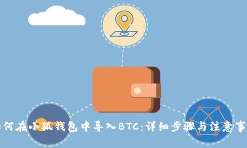如何在小狐钱包中导入BTC：详细步骤与注意事项