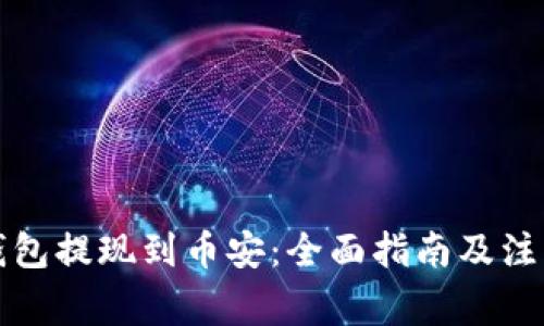 小狐钱包提现到币安：全面指南及注意事项