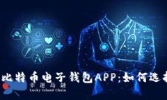 全面解析比特币电子钱包