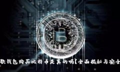 : 谷歌钱包购买比特币是真
