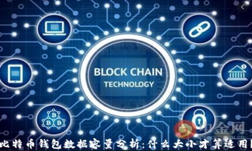 
比特币钱包数据容量分析：什么大小才算适用？