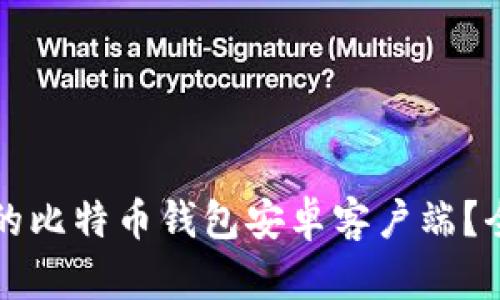 如何选择合适的比特币钱包安卓客户端？全面指南与推荐