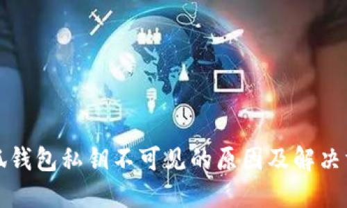 小狐钱包私钥不可见的原因及解决方案