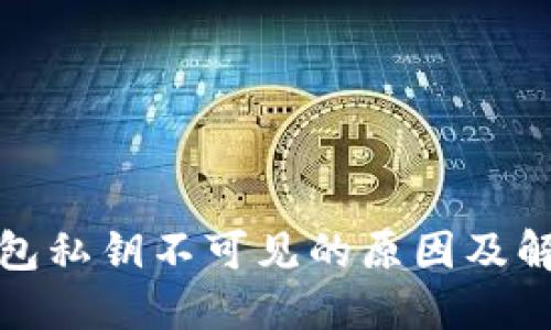 小狐钱包私钥不可见的原因及解决方案