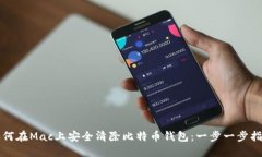 如何在Mac上安全清除比特