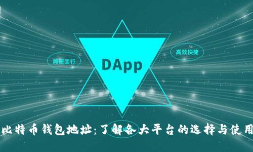 比特币钱包地址：了解各大平台的选择与使用