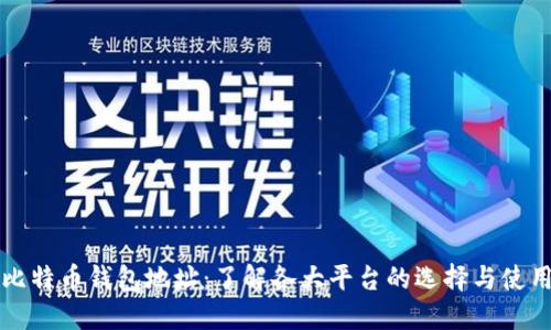 比特币钱包地址：了解各大平台的选择与使用
