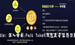 Title: 深入分析：Puls Toke
