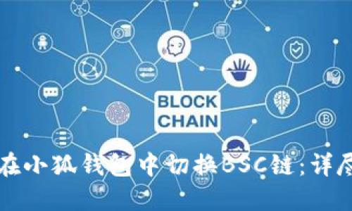 如何在小狐钱包中切换BSC链：详尽指南