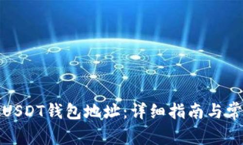 如何充值到USDT钱包地址：详细指南与常见问题解答
