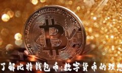 深入了解比特钱包币：数字货币的理想选择