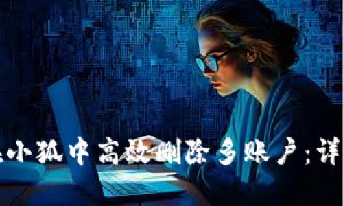 如何在小狐中高效删除多账户：详细指南