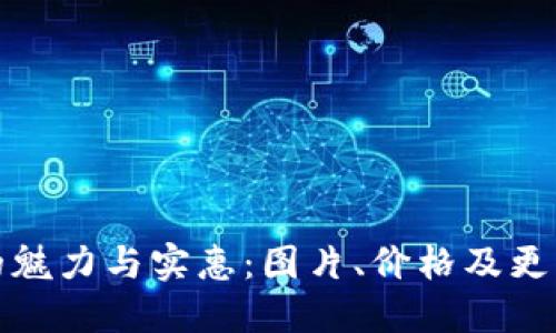 小狐的魅力与实惠：图片、价格及更多信息